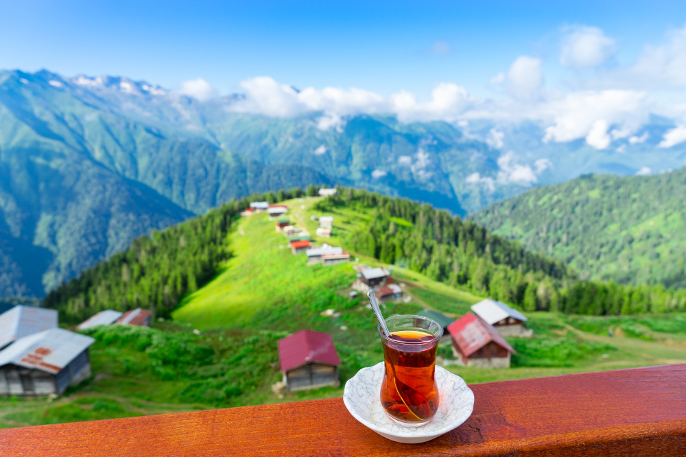 Karadeniz Turları Hakkında Bilmeniz Gereken Her Şey: Doğa, Kültür ve Yayla Serinliği Bir Arada