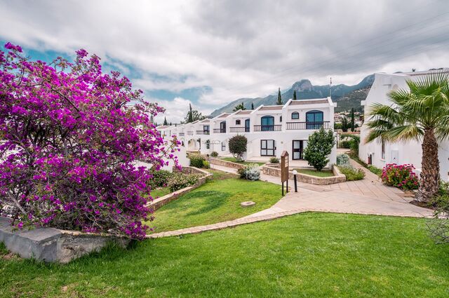 The Olive Tree Hotel