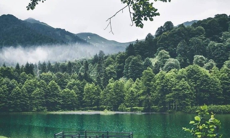 Uçaklı Karadeniz ve Batum Turu