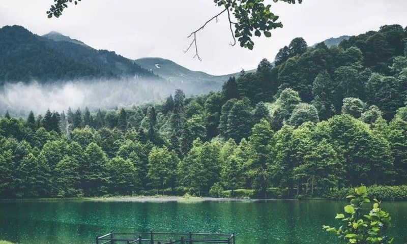 Yayla Yayla Karadeniz Turu ( 4 Gece Konaklama )