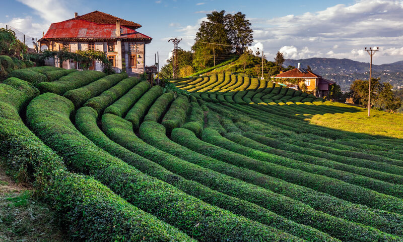 Boydan Boya Deluxe Karadeniz Turu -  (7 Gece - 8 Gün)