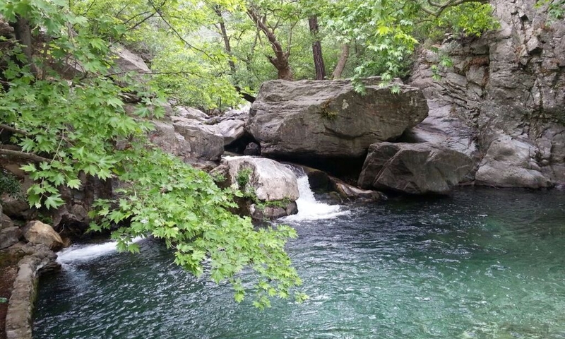 Kazdağları Ayvalık Cunda Adası Turu