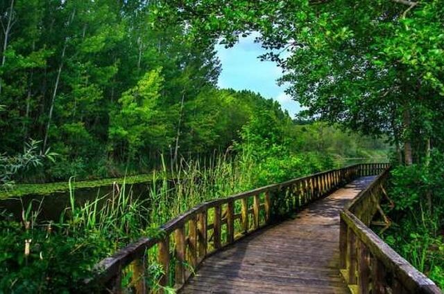 Edirne Kırklareli Trakya Turu